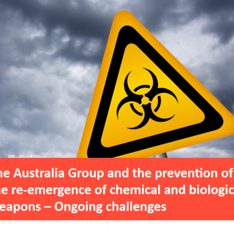 The Australia Group and the prevention of the re-emergence of chemical and biological weapons
